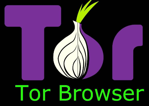 what is tor browser program